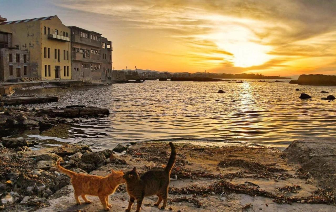 New Sea Escape Boutique Apt-Agii Aposto Li Beach Chania  Екстер'єр фото