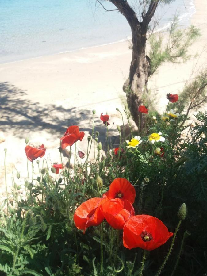 New Sea Escape Boutique Apt-Agii Aposto Li Beach Chania  Екстер'єр фото